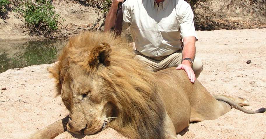 28 Day - 1:1 Classic Safari - 3 Areas