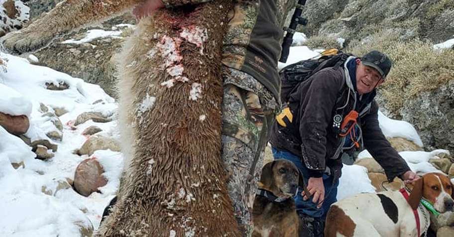 6 Day Mountain Lion Hunt 1 Guide