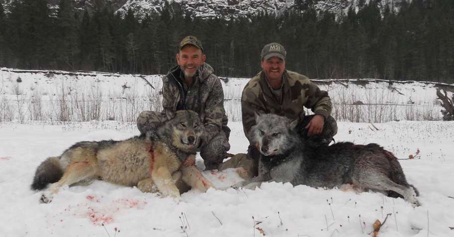 Wolf Hunt '25 '26 '27
