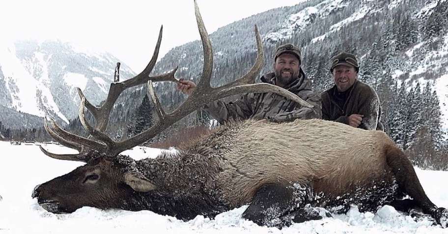 Bighorn Mtn. Trophy Elk Hunt '26