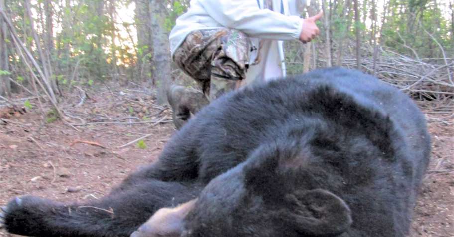 Fall Black Bear 2026 - WEEK 2