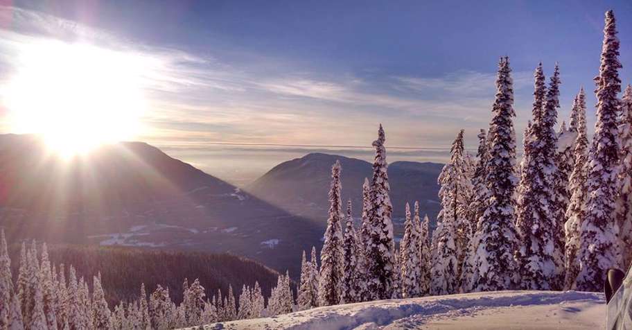 Mountain Lion Hunt '26