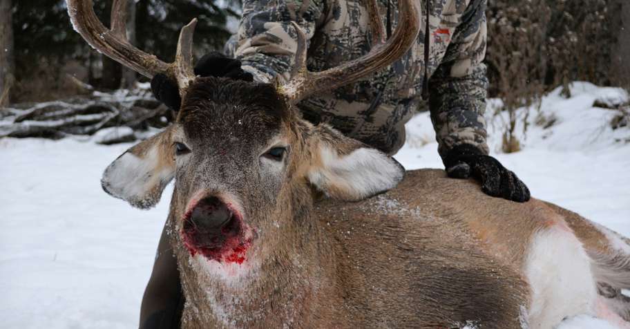 Monster Whitetail opportunity Sask '26