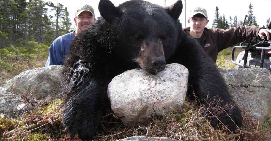 5 Day Spring 2 Bear Hunt 1x1 '26