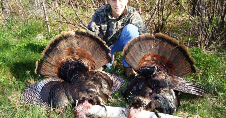 Maine 3 Day Guided Turkey Hunt
