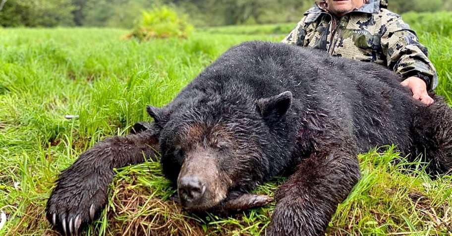 Boat Based Coastal Black Bear 2026