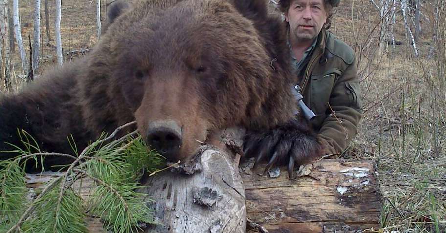 Siberian Brown Bear hunting trips - BookYourHunt.com