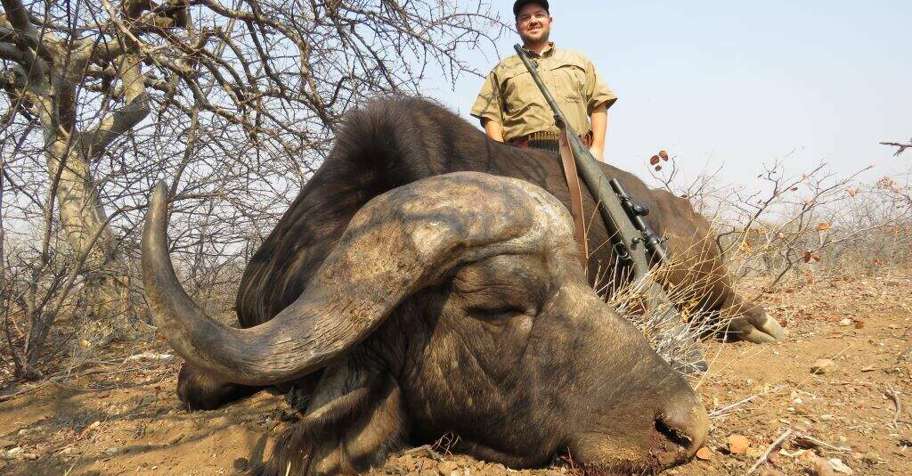 Buffalo and Plains Game Safari