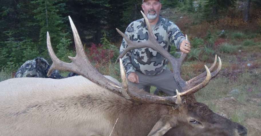 Rocky Mountain Elk '27