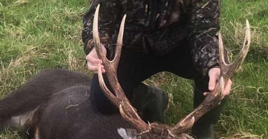 ireland hunting trips