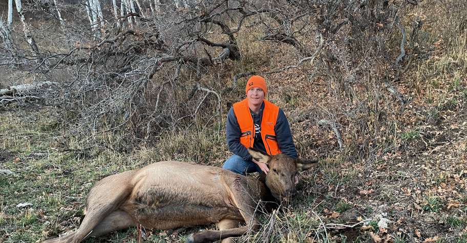 Colorado hunting trips - BookYourHunt.com