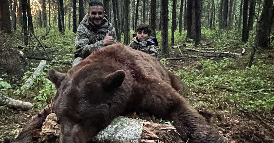 Alberta Spring Black Bears 2026