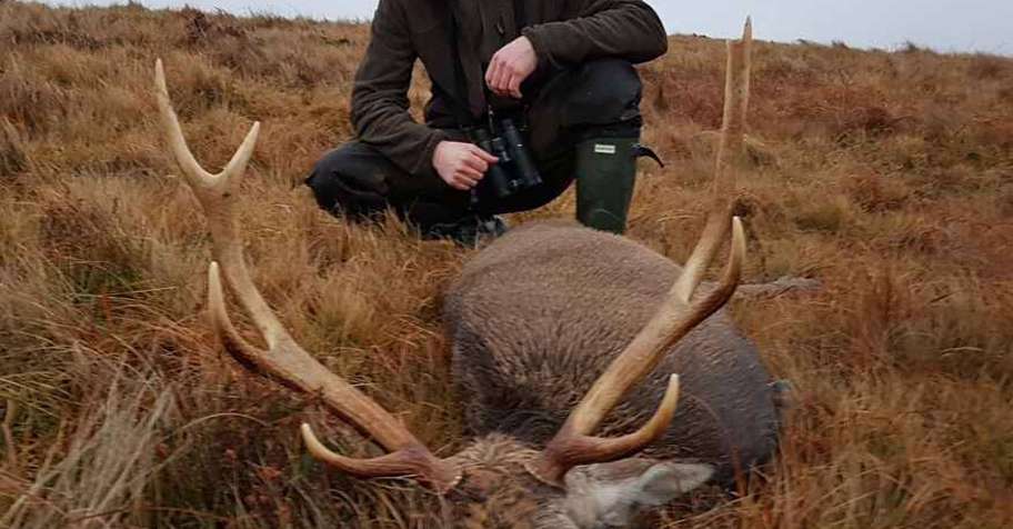 ireland hunting trips