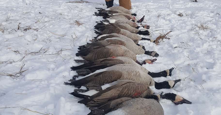 saskatchewan hunting trips