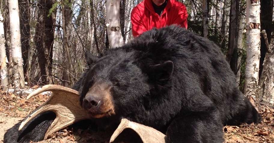 Spring Black Bear May 10-14, 2027