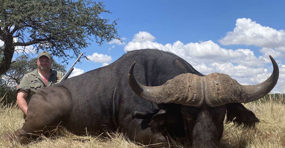 Limpopo Cape Buffalo Hunt