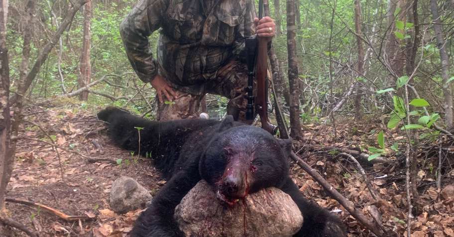 LAST SPOTS! Black Bear Hunt Quebec '26