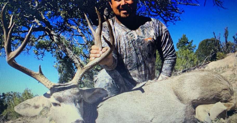 3day early archery OTC muleys