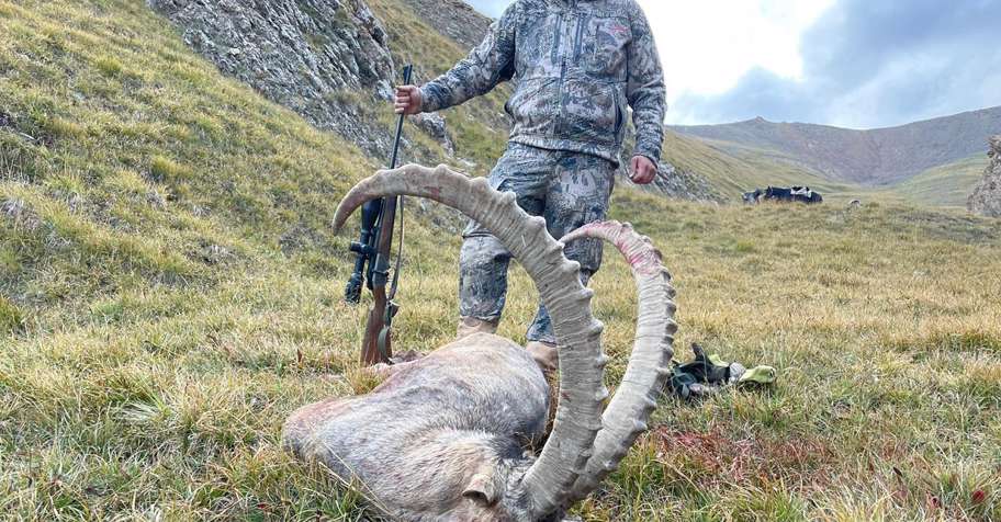 Mid-Asian Ibex hunt