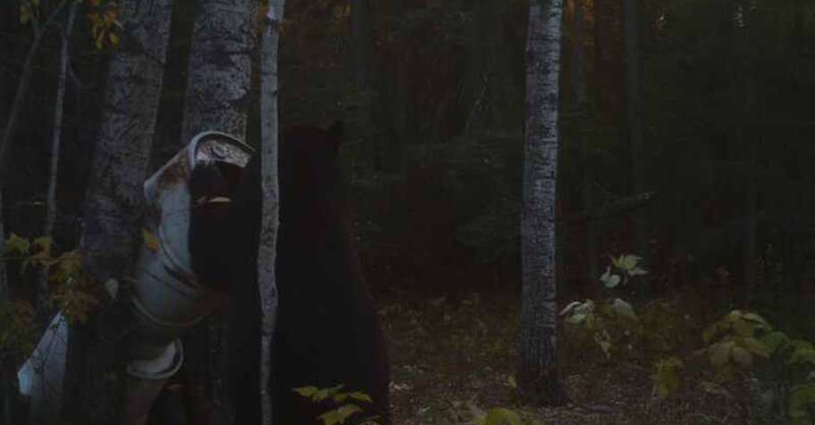 Black Bear Hunt