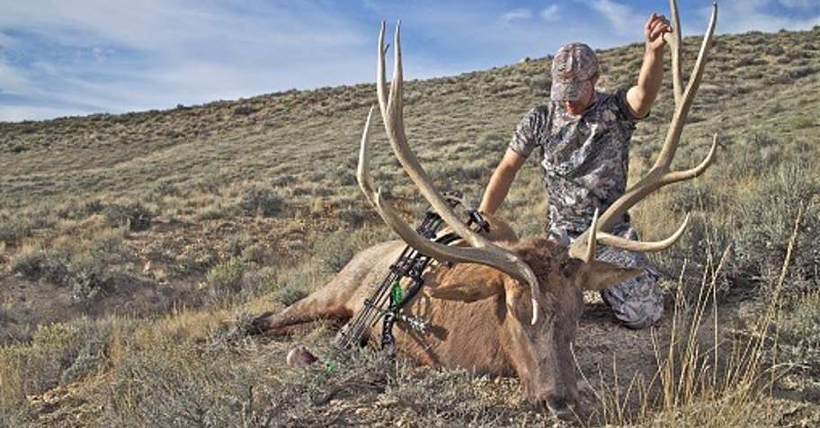 1x1 5 day bull rut archery 2026