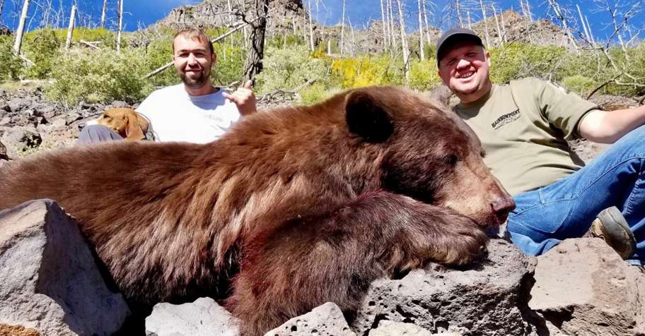 5 Day Black Bear Hunt