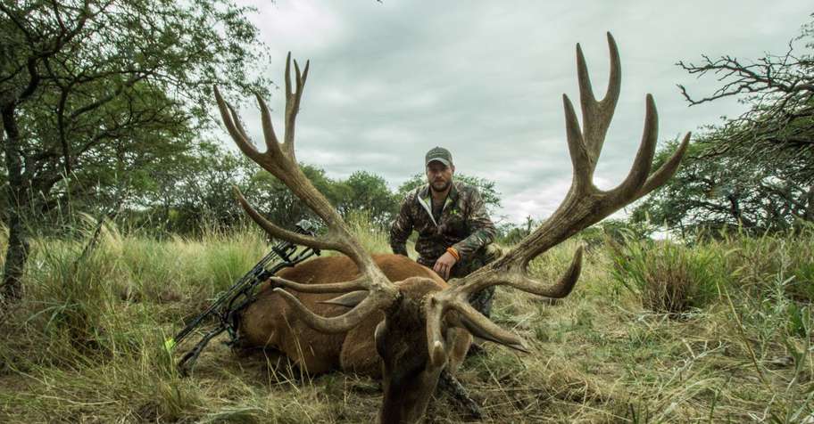 RED STAG BOWHUNTING - BOW ONLY SECTIONS