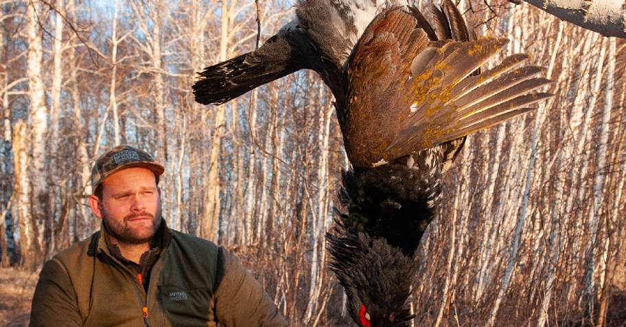 Capercaillie and blackcock spring hunt