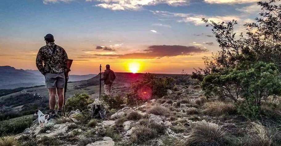 South Africa's Best Free-Range Kudu Hunt