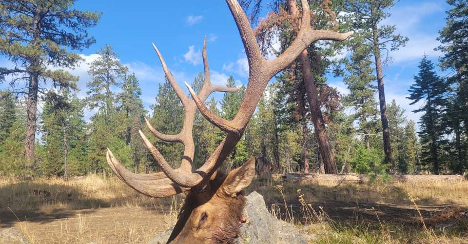 Stand ROCKY Elk Hunt Rut 1x1 '26