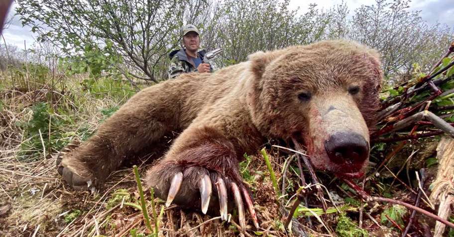 Fall Coastal Brown Bear Hunt