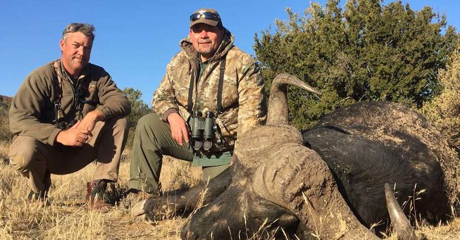 Cape Buffalo Hunting Package 1x1