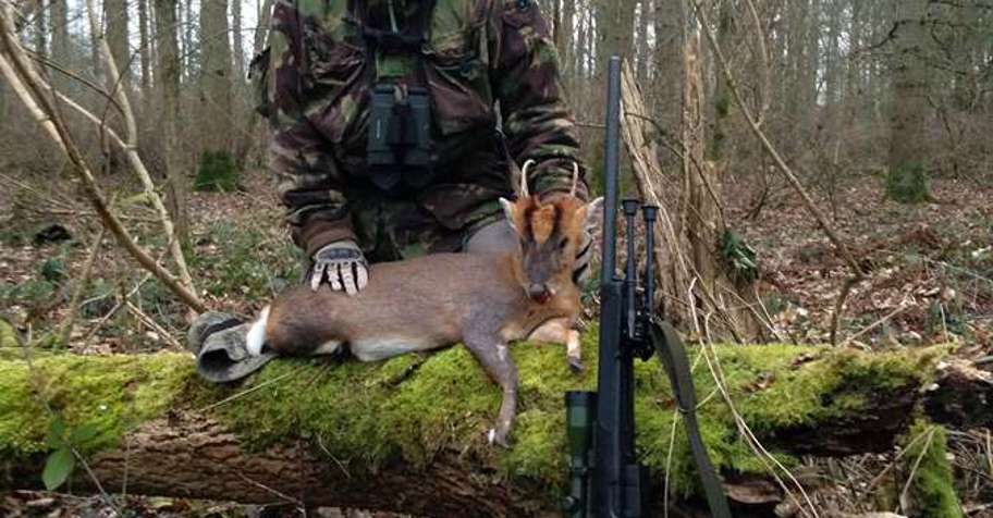 hunting trips in the uk