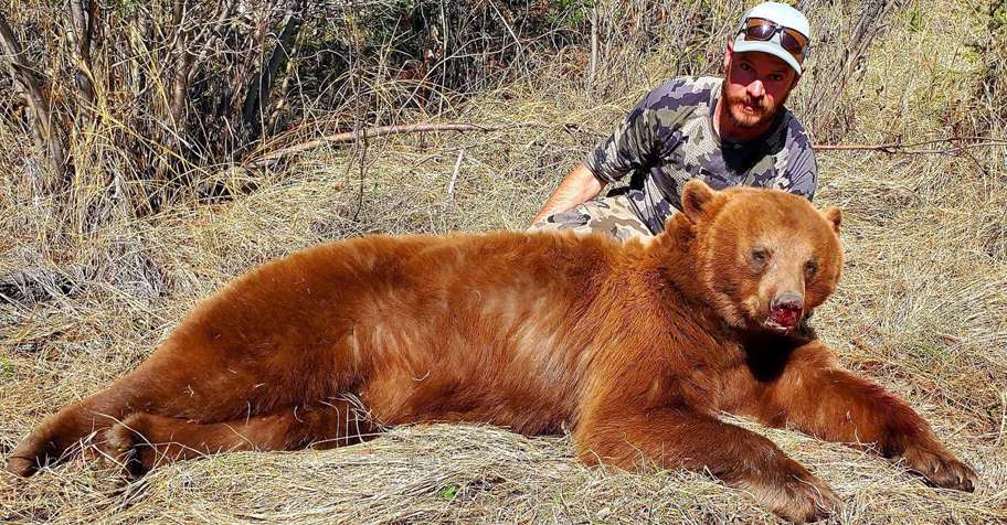 Alberta Black Bear Hunt