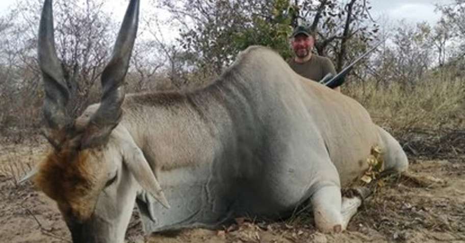 Plains Game Tropy/Cull Combo 2