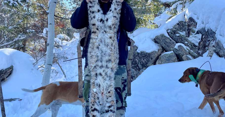 Bobcat Hunt with Hounds 25'-26'