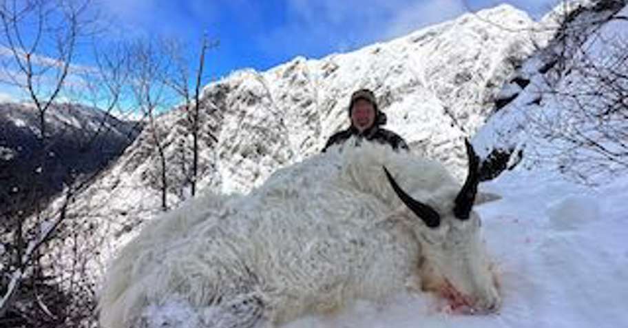 Winter Goat Hunt '26
