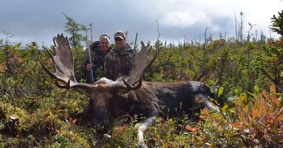 Fly-in Eastern Moose Hunt 2x1 '26