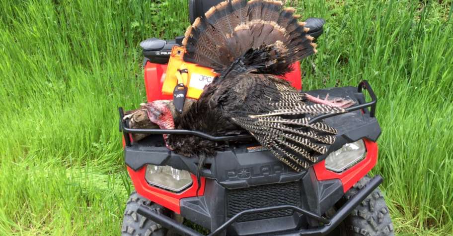 Public Land Turkey Hunt - 2 day
