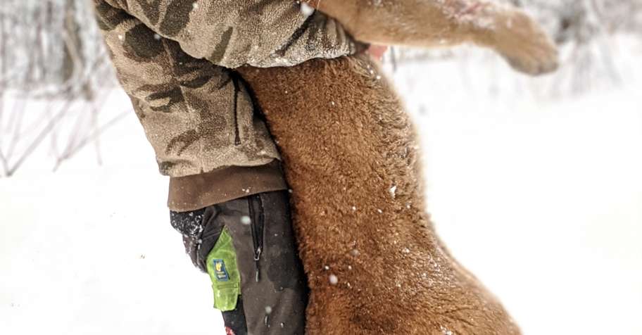 Winter Predator combo hunt