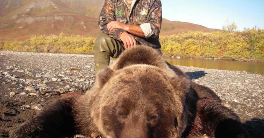 2026 Western Alaska Fall Grizzly Hunt