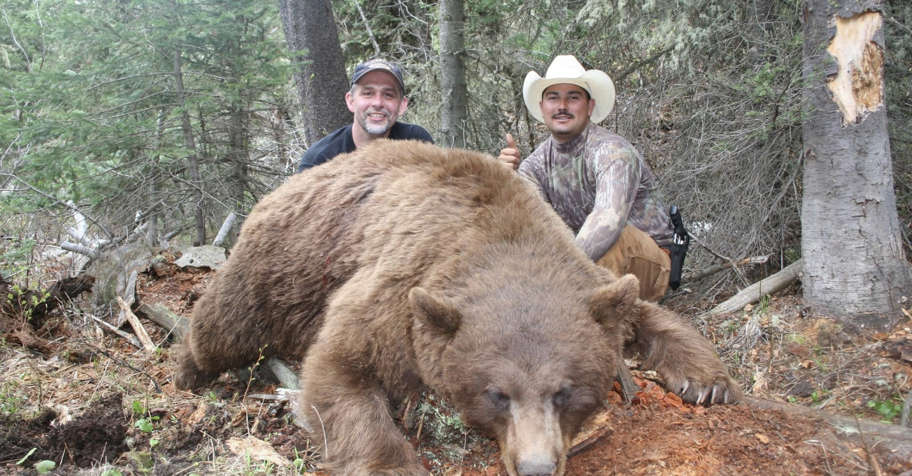 Spring Bear on Horseback '26 1:1