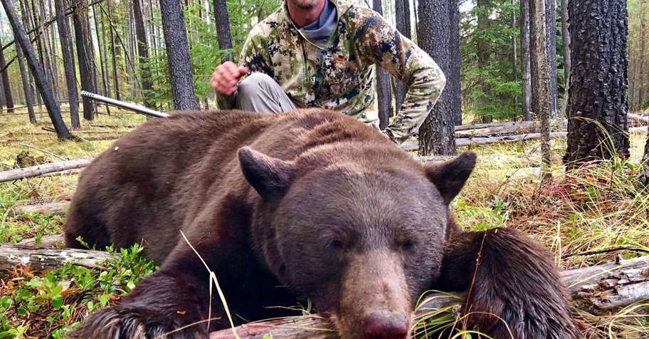 1x1 Spring Bear Hunt