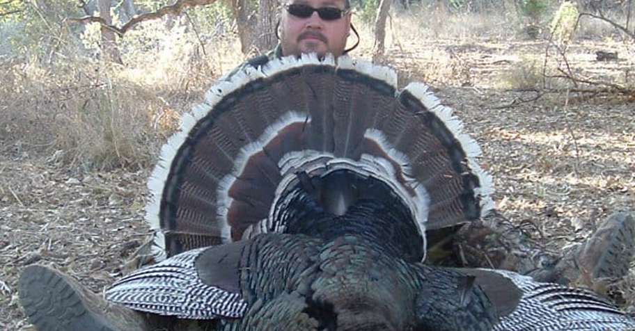 Gould Turkey Hunt 2 Bird Mexico