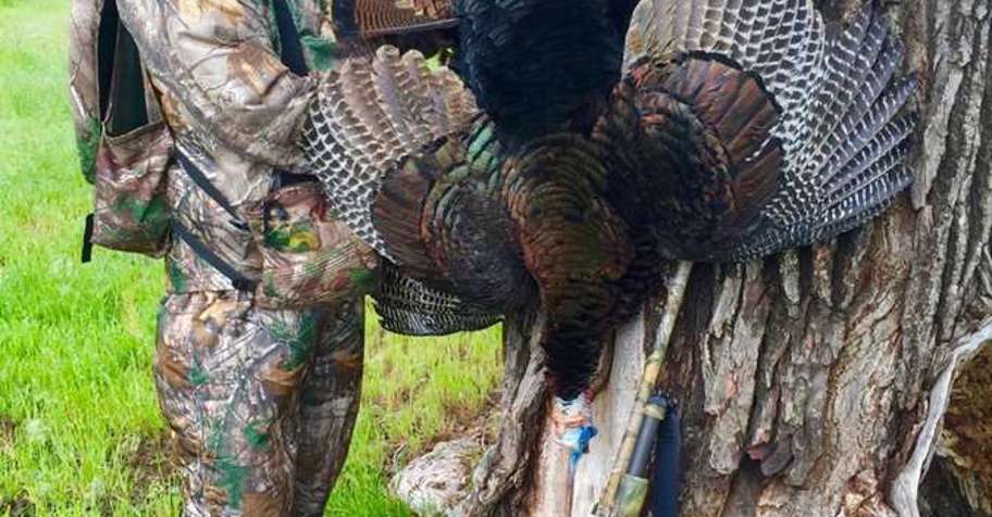 Kansas Rio Grande Turkey Hunt