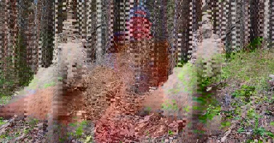 Alberta Trophy Black Bear Hunt '26