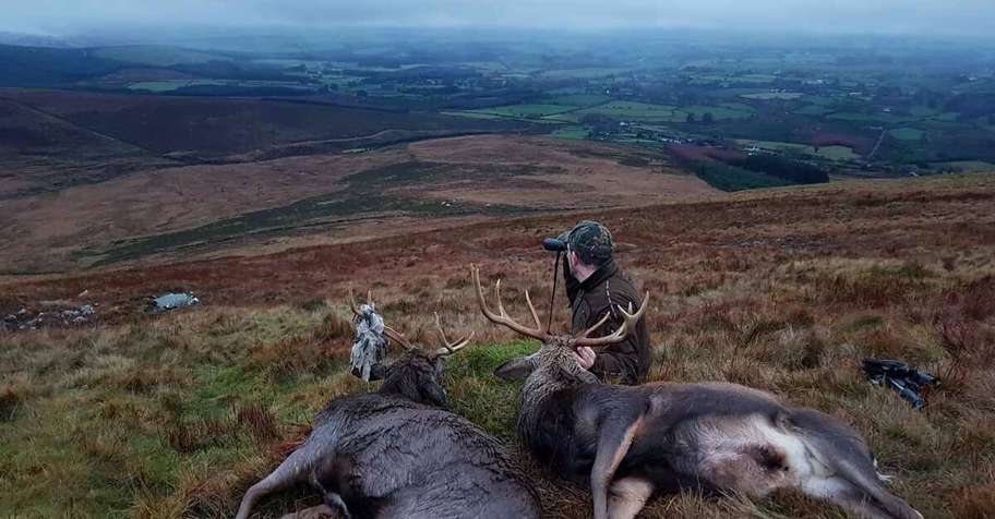 ireland hunting trips