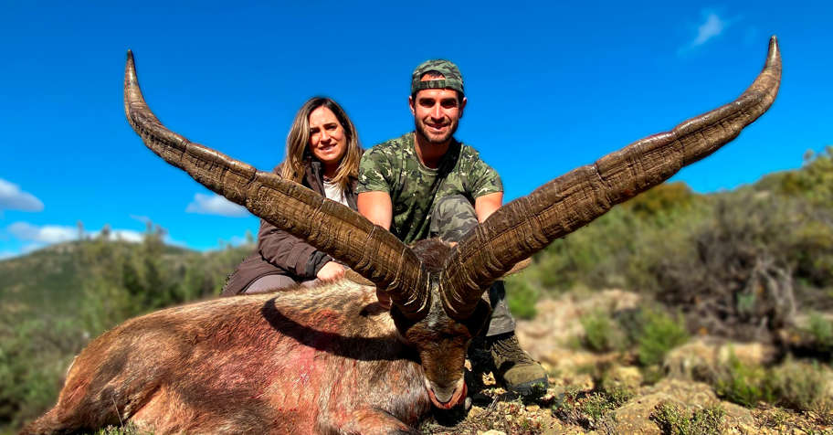 BECEITE SPANISH IBEX, all inclusive!!