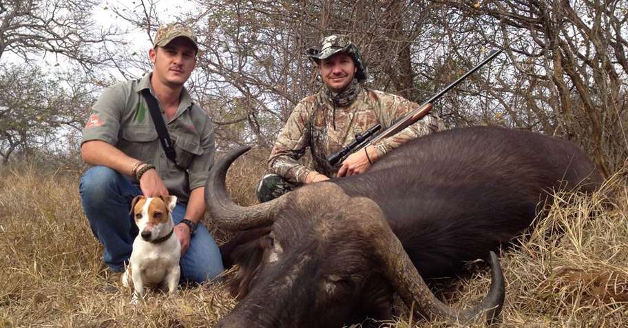 7 Day Buffalo Bull & Cow Combo Package