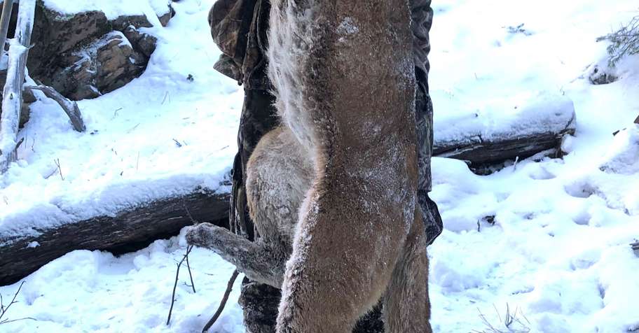 Mountain Lion Hunt 25'-26' Season